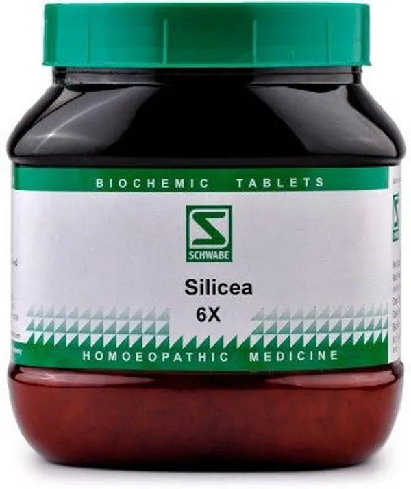Dr.Willmar_Schwabe_India_Silicea_6X_Tablets_(550_G)