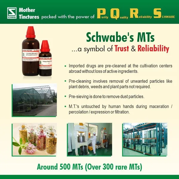 Dr.Willmar_Schwabe_India_Syzygium_Jambolanum_Mother_Tincture_(4_X_30)