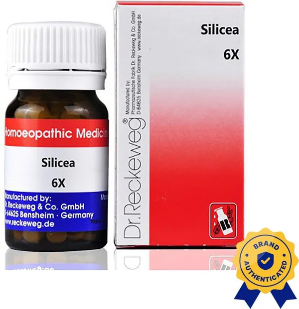 Dr._Reckeweg_Silicea_6X_Tablets_(2_X_20_G)