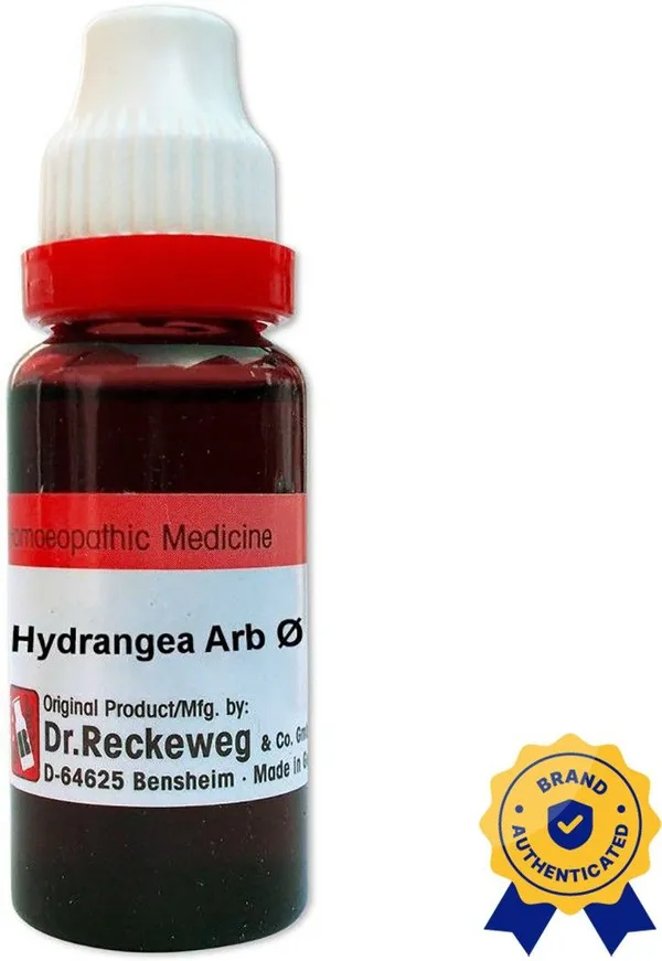 Dr._Reckeweg_Hydrangea_Arb_Q_Liquid_(3_X_20_Ml)