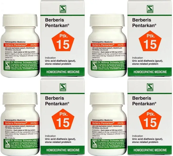 Dr.Willmar_Schwabe_India_Berberis_Pentarkan_Tablets_(4_X_20_Units)