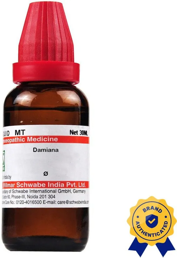 Dr.Willmar_Schwabe_India_Argentum_Nitricum_6X_Tablets_(3_X_20_G)