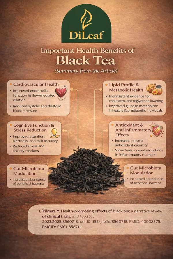 Blue_Pea_Wellness_Tea_Combo_–_150g_Total_(3_Functional_Teas:_Blue_Pea,_Detox_Green_&_Darjeeling_Black_Tea)