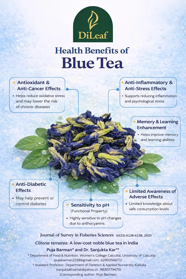 Blue_Pea_Wellness_Tea_Combo_–_150g_Total_(3_Functional_Teas:_Blue_Pea,_Detox_Green_&_Darjeeling_Black_Tea)