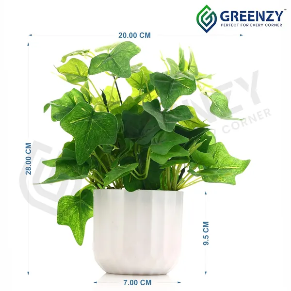 Green_Plastic_Bedroom,_Home_Office,_Kitchen,_Living_Room_For_Home_Decor
