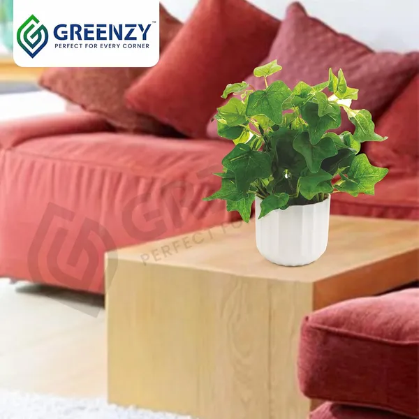 Green_Plastic_Bedroom,_Home_Office,_Kitchen,_Living_Room_For_Home_Decor