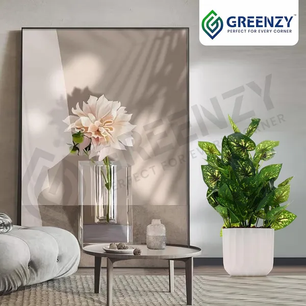 Green_Plastic_Home_Office_For_Home_Decor