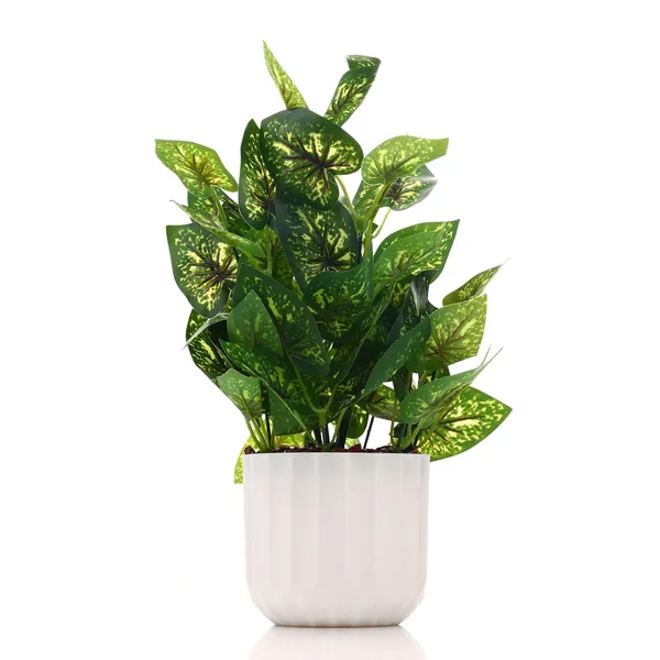 Green_Plastic_Home_Office_For_Home_Decor