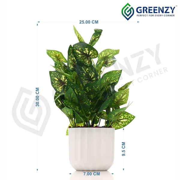 Green_Plastic_Home_Office_For_Home_Decor
