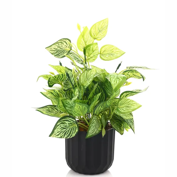 Green_Plastic_Home_Office_For_Home_Decor
