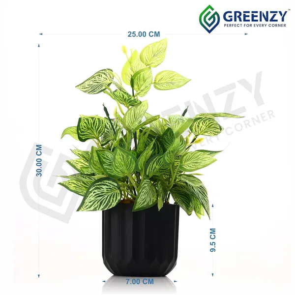 Green_Plastic_Home_Office_For_Home_Decor
