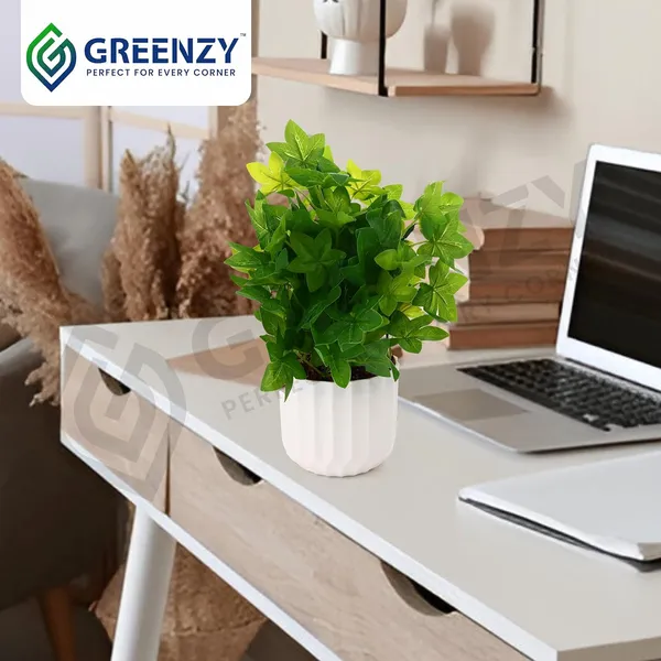 Green_Plastic_Home_Office_For_Home_Decor