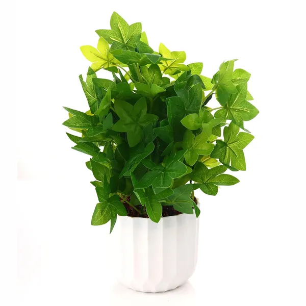 Green_Plastic_Home_Office_For_Home_Decor