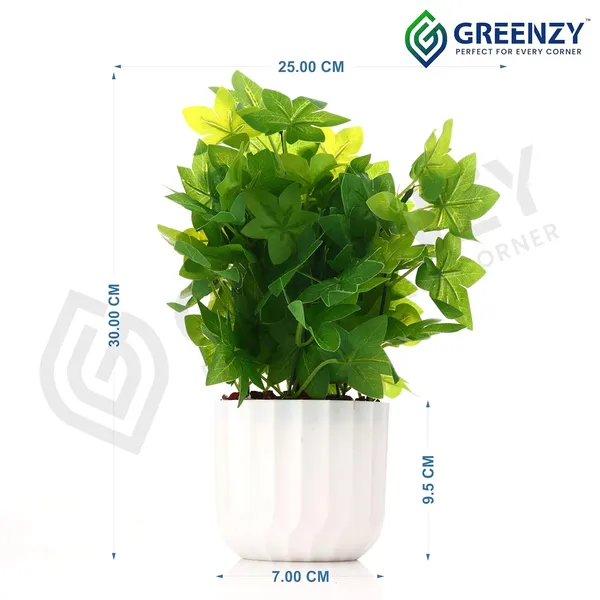 Green_Plastic_Home_Office_For_Home_Decor