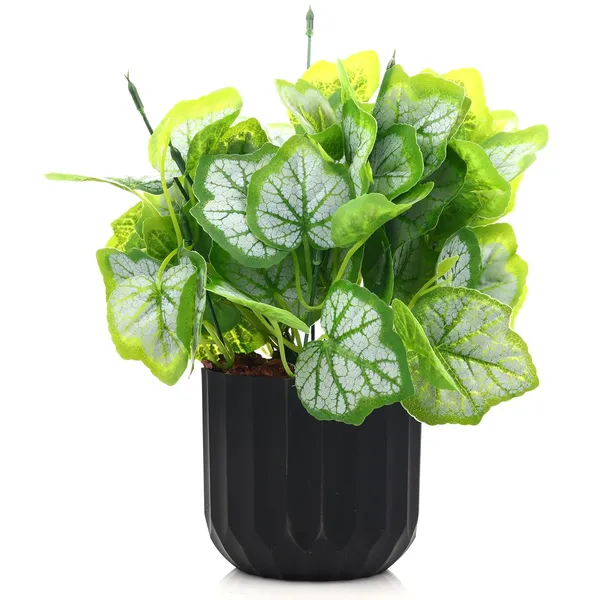 Green_Plastic_Home_Office_For_Home_Decor