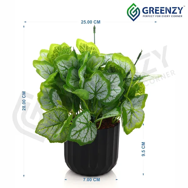 Green_Plastic_Home_Office_For_Home_Decor