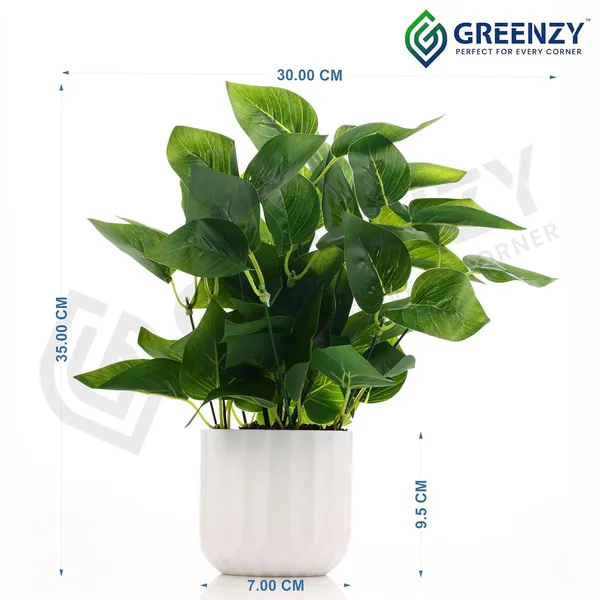 Green_White_Plastic_Bedroom,_Home_Office,_Kitchen,_Living_Room_For_Home_Decor