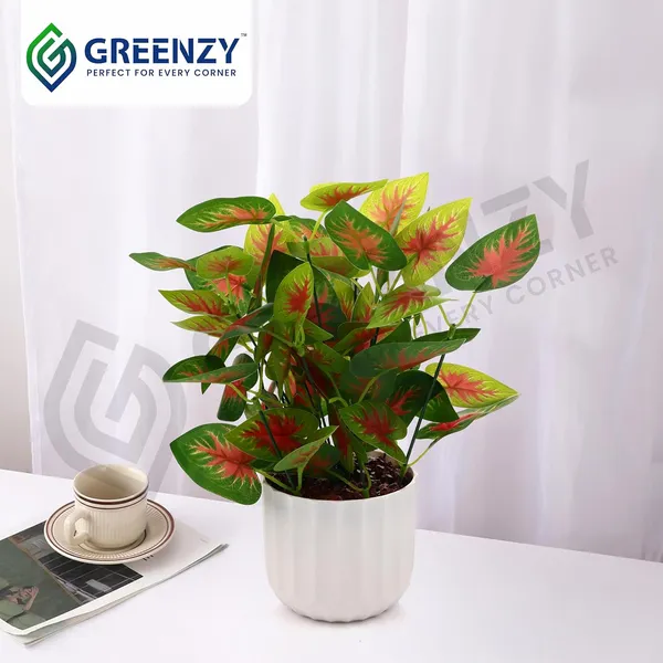 Green_Plastic_Bedroom,_Home_Office,_Kitchen,_Living_Room_For_Home_Decor