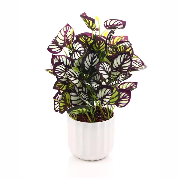 Wine_Plastic_Home_Office_For_Home_Decor