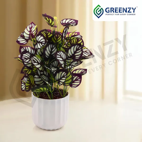 Wine_Plastic_Home_Office_For_Home_Decor