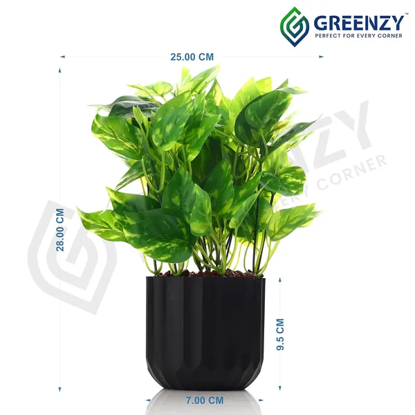 Green_Plastic_Home_Office_For_Home_Decor