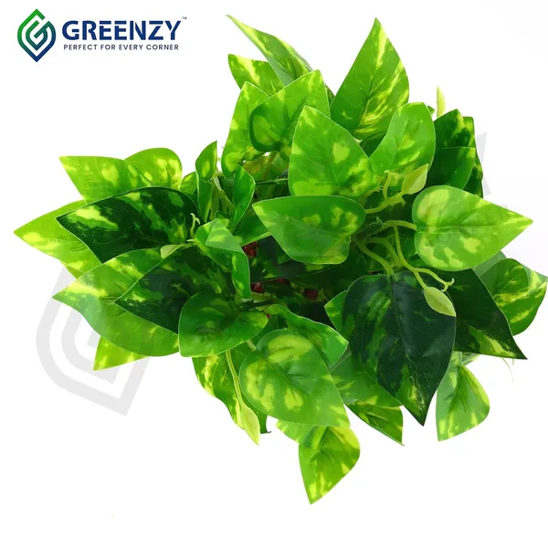 Green_Plastic_Home_Office_For_Home_Decor