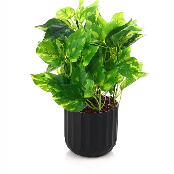 Green_Plastic_Home_Office_For_Home_Decor