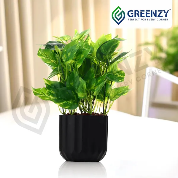 Green_Plastic_Home_Office_For_Home_Decor