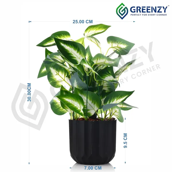 Green_Plastic_Bedroom,_Home_Office,_Kitchen,_Living_Room_For_Home_Decor