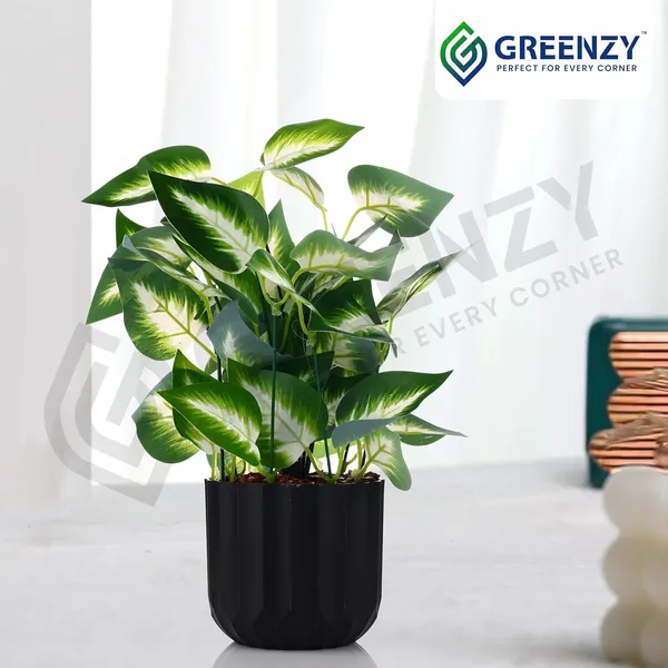 Green_Plastic_Bedroom,_Home_Office,_Kitchen,_Living_Room_For_Home_Decor