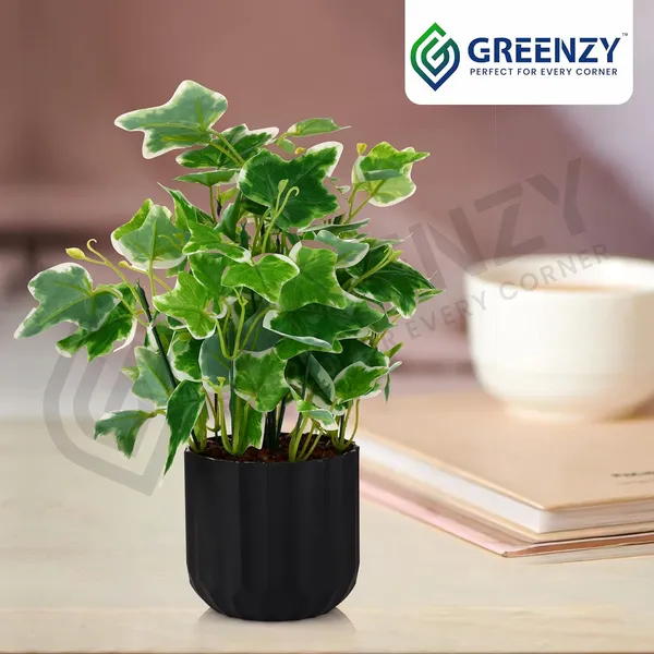 Green_Plastic_Bedroom,_Home_Office,_Kitchen,_Living_Room_For_Home_Decor