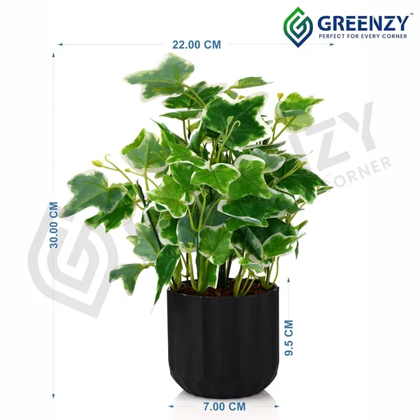 Green_Plastic_Bedroom,_Home_Office,_Kitchen,_Living_Room_For_Home_Decor