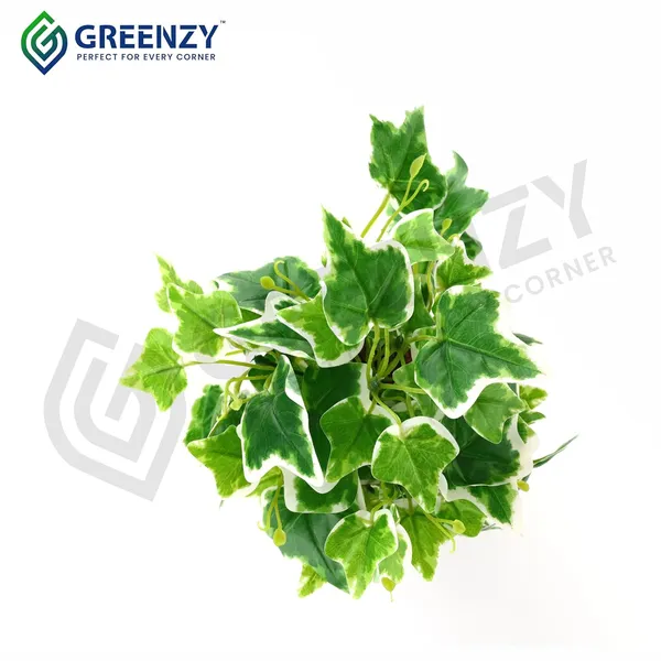 Green_Plastic_Bedroom,_Home_Office,_Kitchen,_Living_Room_For_Home_Decor