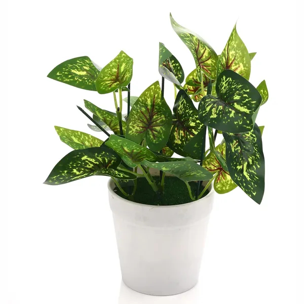 Green_Plastic_Home_Office_For_Home_Decor