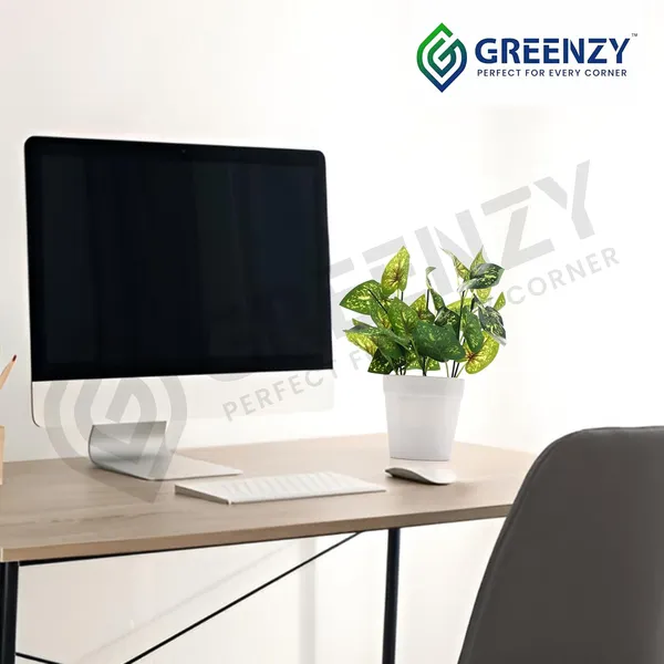 Green_Plastic_Home_Office_For_Home_Decor