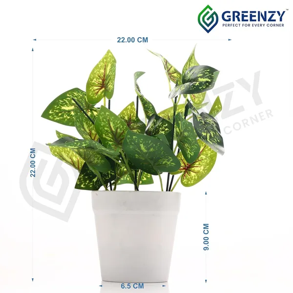 Green_Plastic_Home_Office_For_Home_Decor