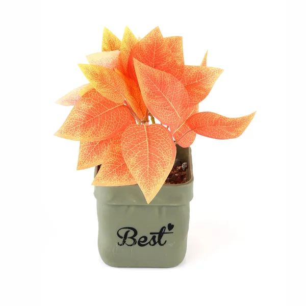 Orange_Plastic_Home_Office_For_Home_Decor
