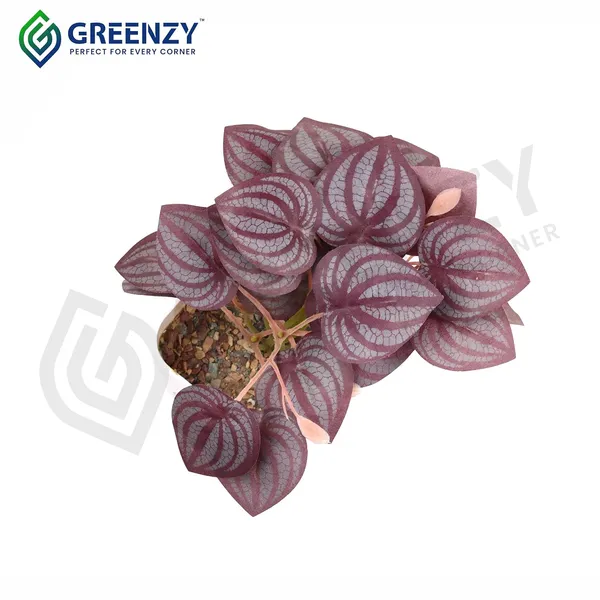 Wine_Plastic_Home_Office_For_Home_Decor