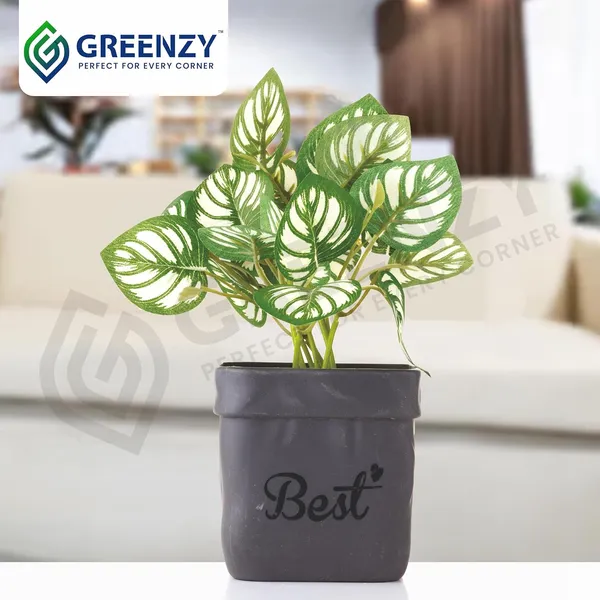 Green_Plastic_Bedroom,_Home_Office,_Kitchen,_Living_Room_For_Home_Decor