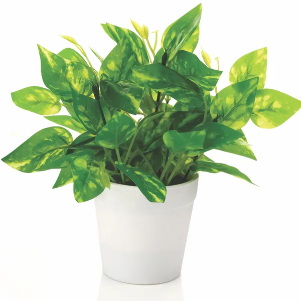 Green_Plastic_Home_Office_For_Home_Decor