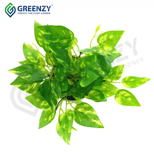 Green_Plastic_Home_Office_For_Home_Decor