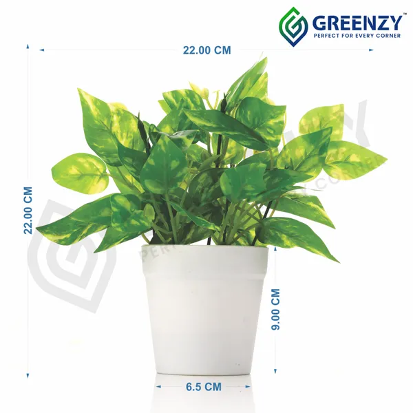 Green_Plastic_Home_Office_For_Home_Decor