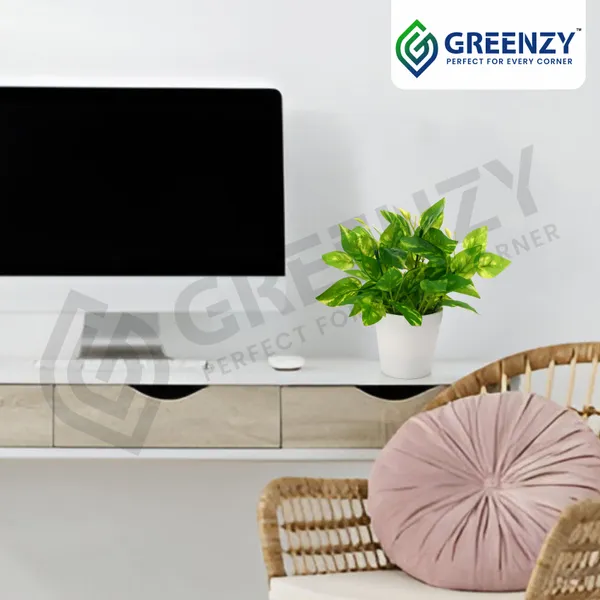 Green_Plastic_Home_Office_For_Home_Decor
