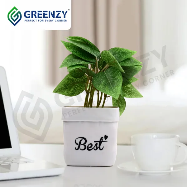 Green_Plastic_Bedroom,_Home_Office,_Kitchen,_Living_Room_For_Home_Decor