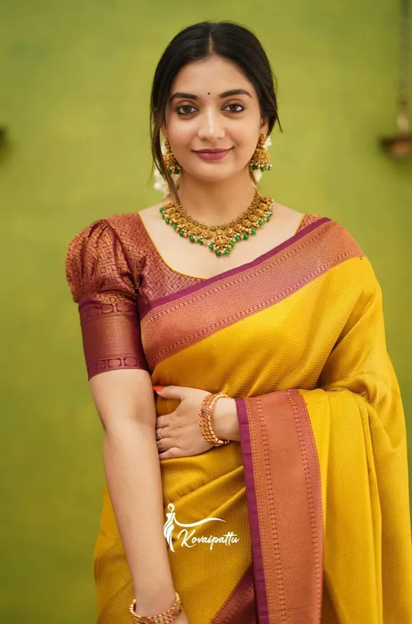 Black_Jacquard_Woven_Banarasi_Saree_For_Women
