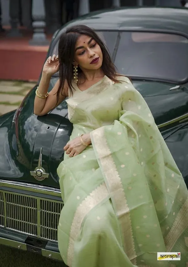 Green_Cotton_Linen_Self_Design_Banarasi_Saree_For_Women