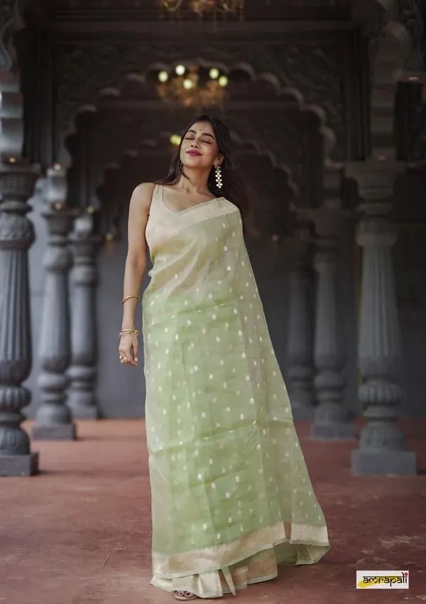 Green_Cotton_Linen_Self_Design_Banarasi_Saree_For_Women