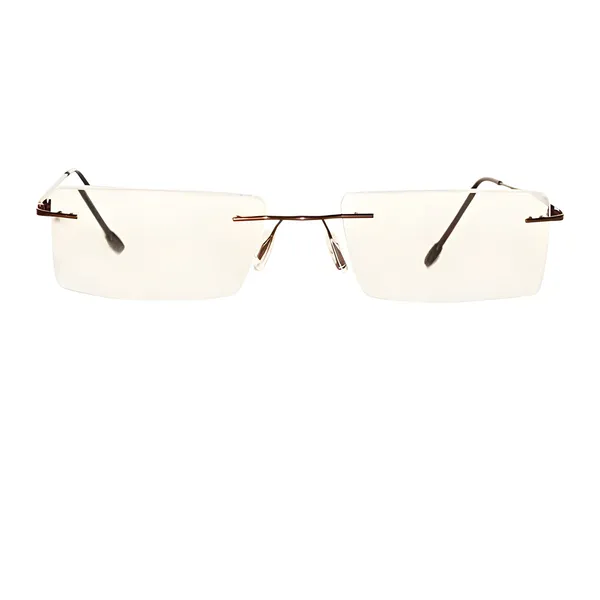 See_World_-_BROWN_Rimless_Thin_Metal_Frame_Reading_Eyeglasses_With_Soft_Cover,_Lens_Cleaning_Spray,_Cleaning_Cloth_&_Hanging_Dori