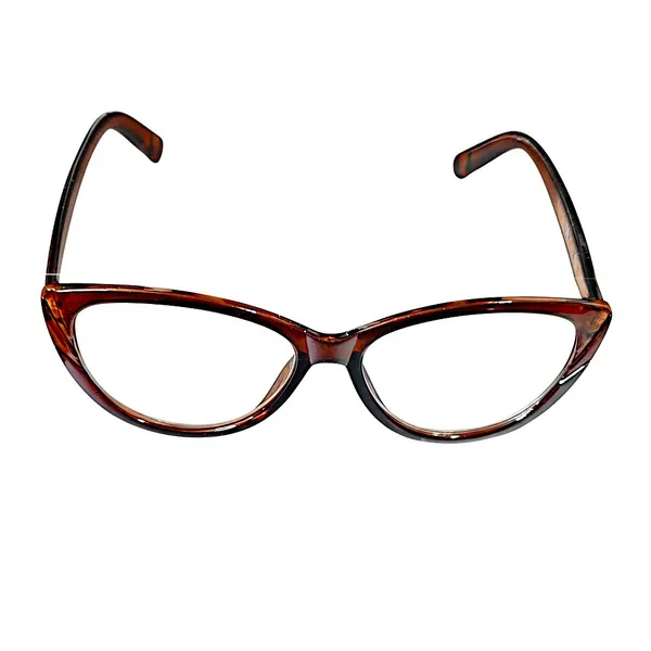 SEE_WORLD_-_BROWN_Frame_Cat_Eye_Style_Reading_Eyeglasses_With_Hard_Case,_Lens_Cleaning_Spray,_Cleaning_Cloth_And_Hanging_Dori