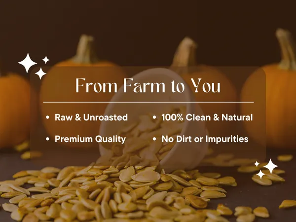 Tanyatrapt_Pumpkin_Seeds_|_Raw_Edible_Seeds_|_Rich_in_Magnesium_&_Antioxidants_Pumpkin_Seeds_(400g)